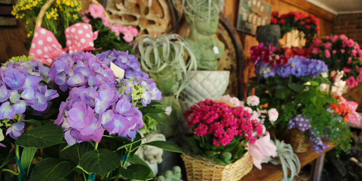 Celebrations The Florist The Florist